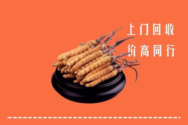 高价求购：金华市金东区回收散虫草