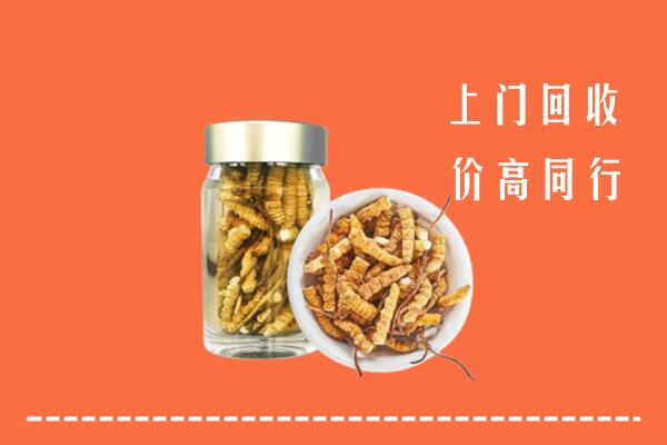金华市金东区回收冬虫夏草